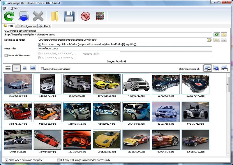 Bulk Image Downloader 2024 v6.51 Full Version