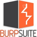 Burp Suite Professional 2024 Free Download